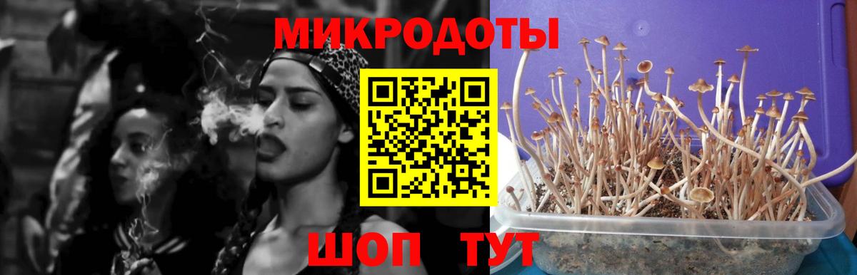 Галлюциногенные грибы мухоморы  Вход с VPN  Псилоцибиновые грибы ЛСД  Сердобск 